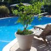 Round Outdoor Patio Planter in Weathered Concrete Finish